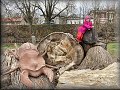 Lilinka v broukovišti