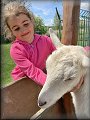 Lili a Nunu ve Fajnparku