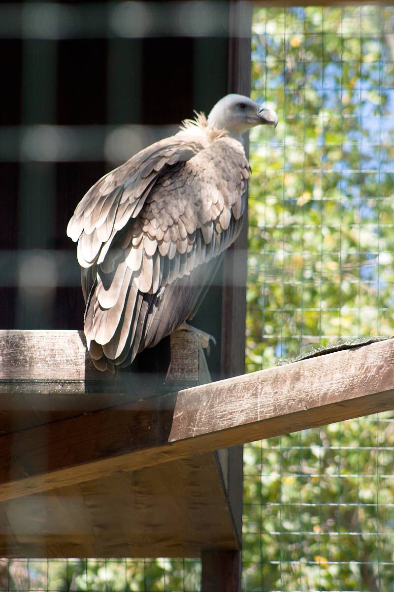 Zábavní park Oltremare