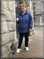 Kamienna Góra - město rytířů