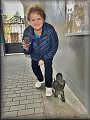 Kamienna Góra - město rytířů