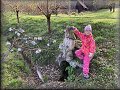 Vodník v Tikově
