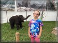 Výstava Doba ledová - lovci mamutů