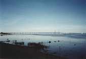 Öresund bridge