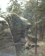 Osta - Zrdce