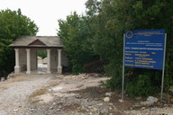 Amfitetr