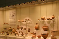 Muzeum