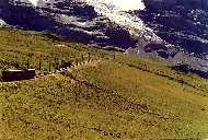 Vlak na Jungfraujoch